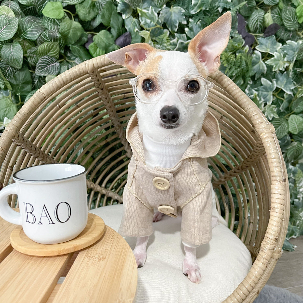 Casually Cool Sweater - Beige