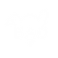 Bao The Chi