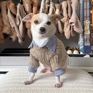 Beige Knit Sweater